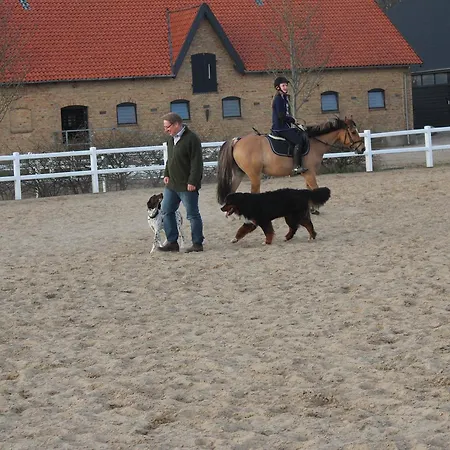 Louiselund Panzió Haderslev