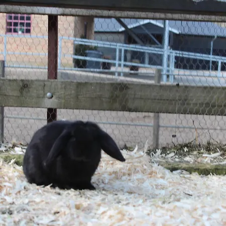 Louiselund Panzió 3*