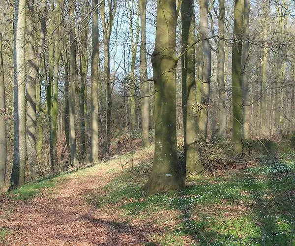 Louiselund 3* Haderslev