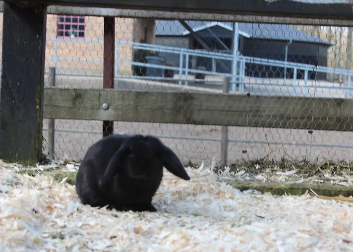 Louiselund Отель типа 